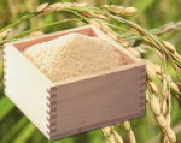画像1: 金子美登さんの無農薬玄米3KG (1)